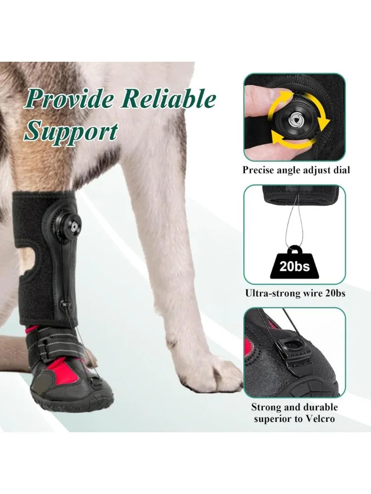 Drop Foot Brace /  Corrective Dog Shoe