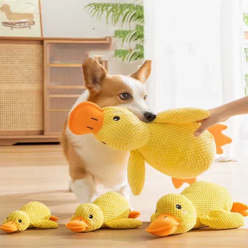 Pet Toy , Duck
