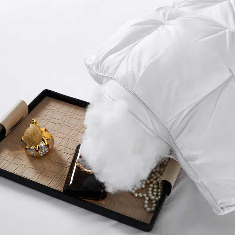 2-Piece Pillow Set