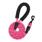 Pet Leash, Reflective