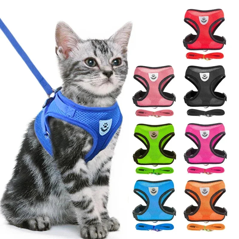 Small Pet Harness Vest, Leash