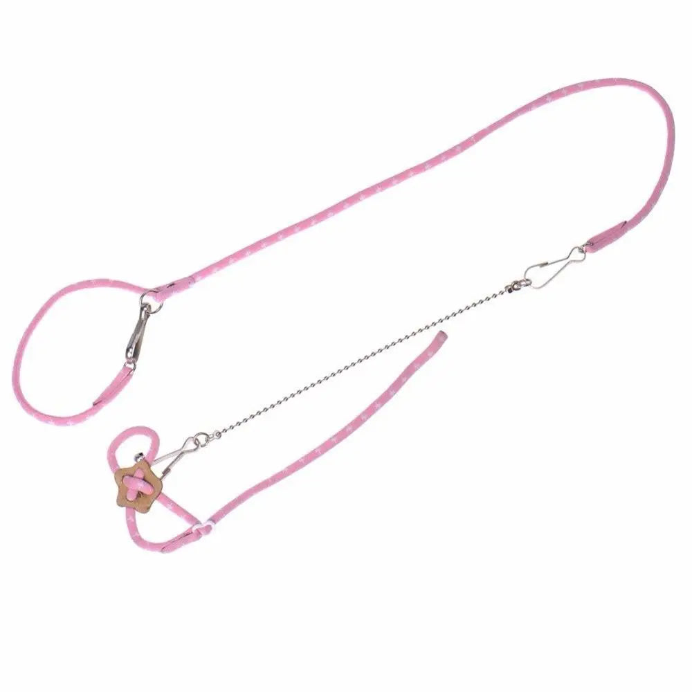 Nylon Rope, Hamster, Leash Pet Supplies
