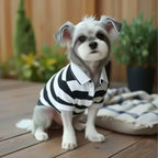 Pet Polo Shirt