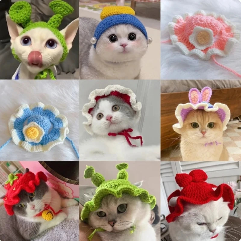 Cute Cat Hat