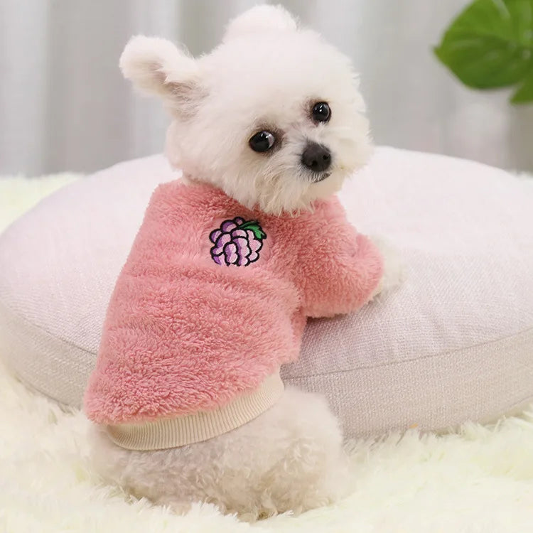 Pet Clothes