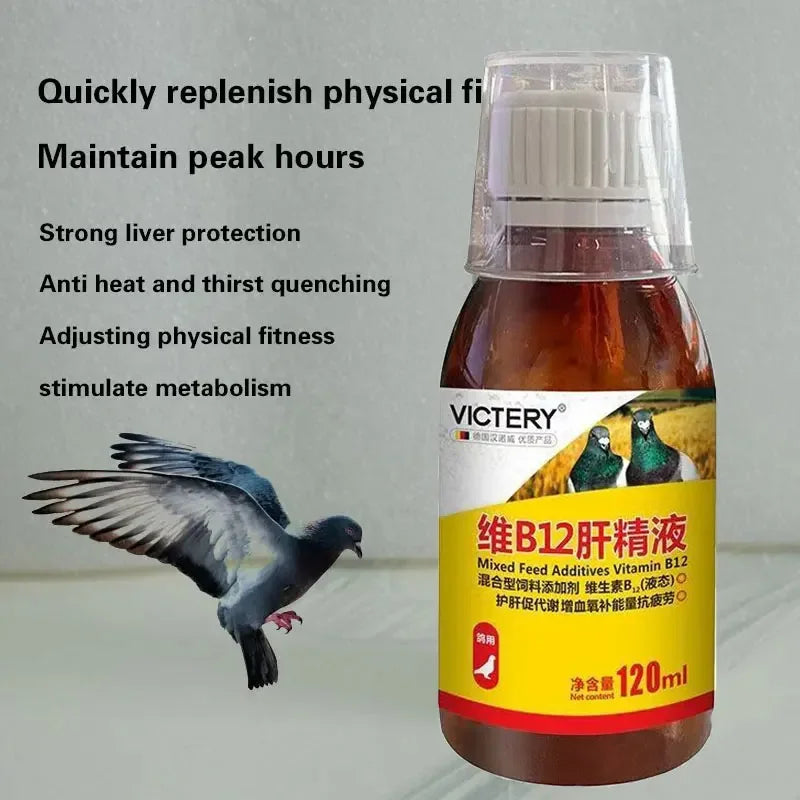 Birds use liver essence, regulate immunity.