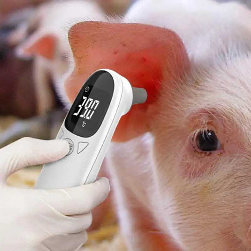 Ear Veterinary Thermometers