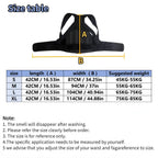 Posture Corrector, Adjustable Spinal Brace