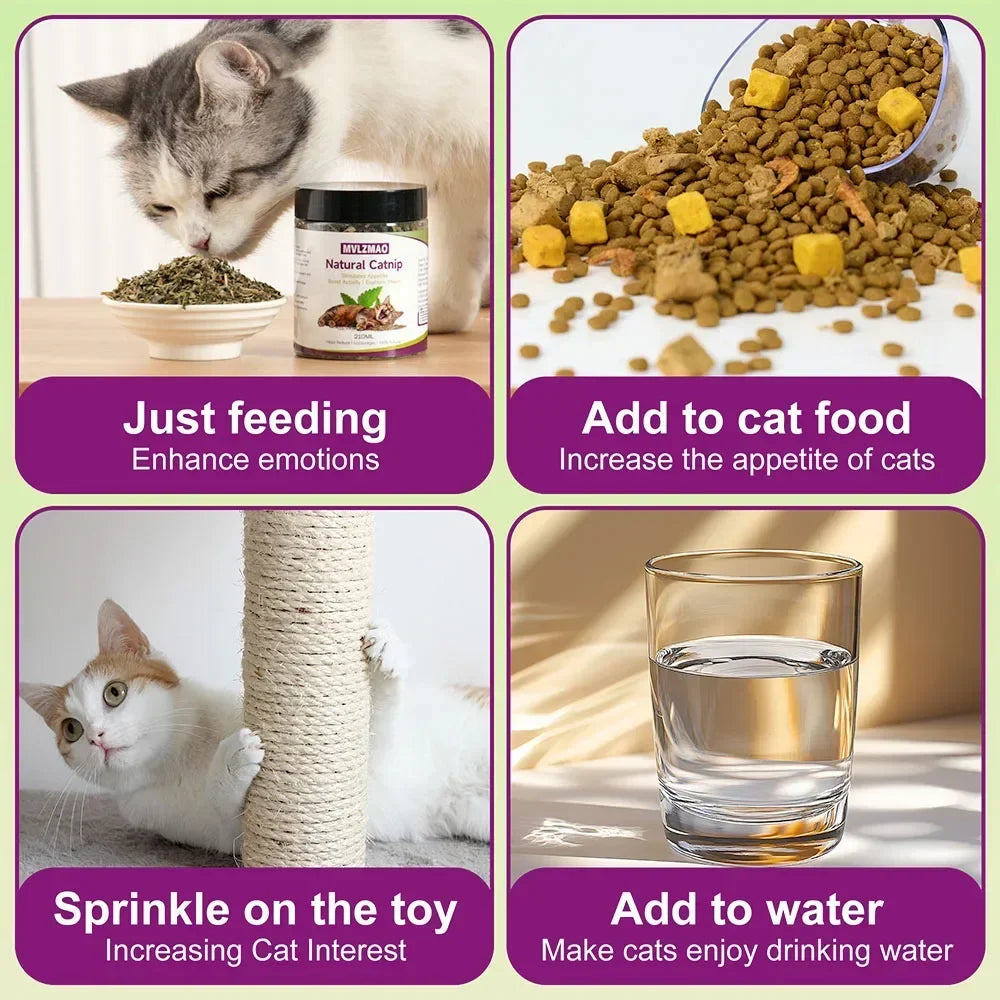 Catnip 100% Natural Safe