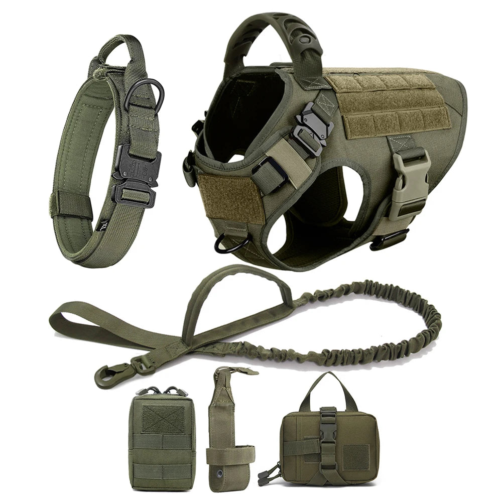Pet Harness, Leash, Collar Set