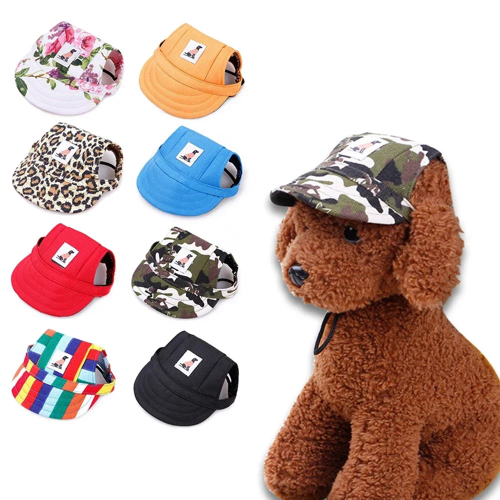 Pet Hat