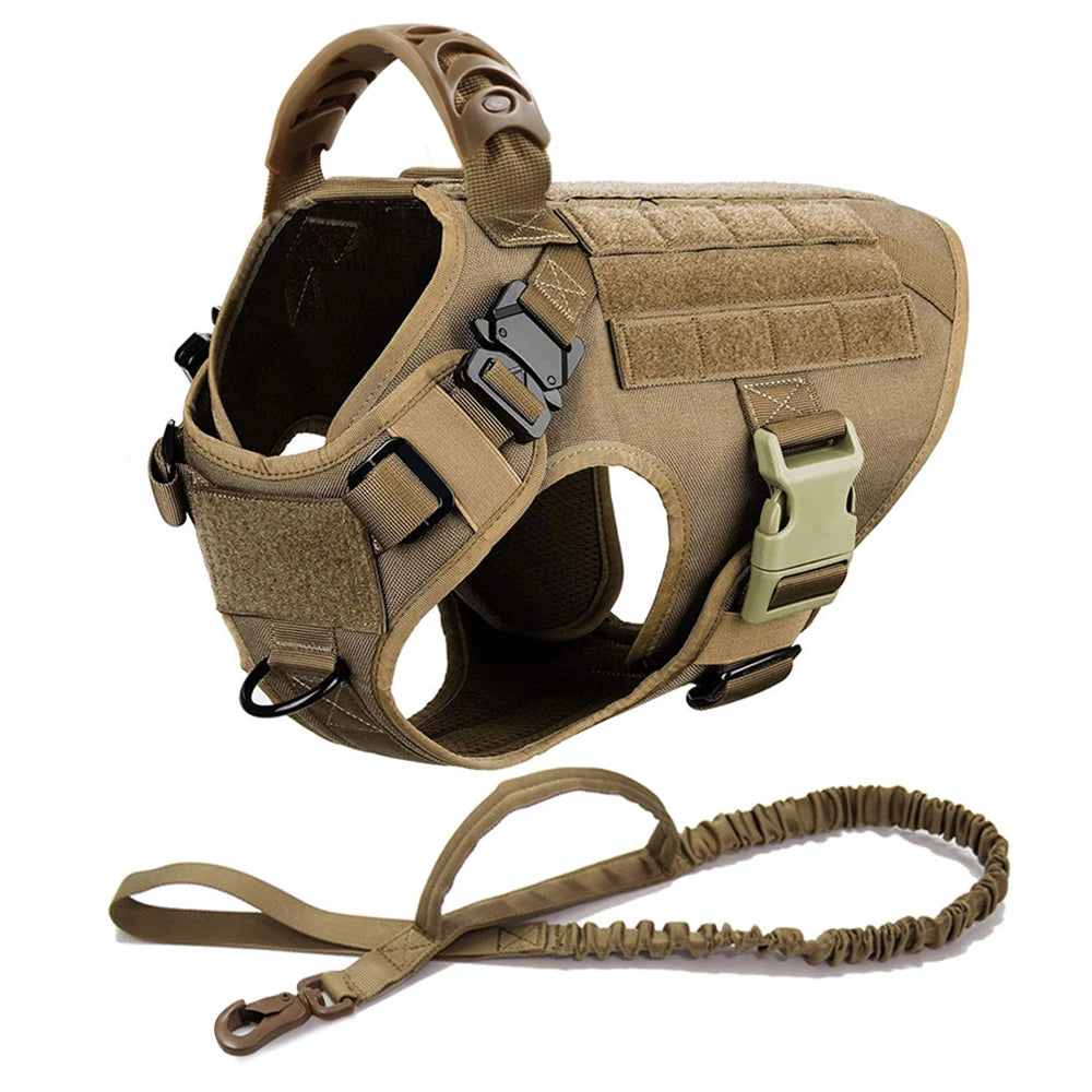 Pet Harness, Leash, Collar Set