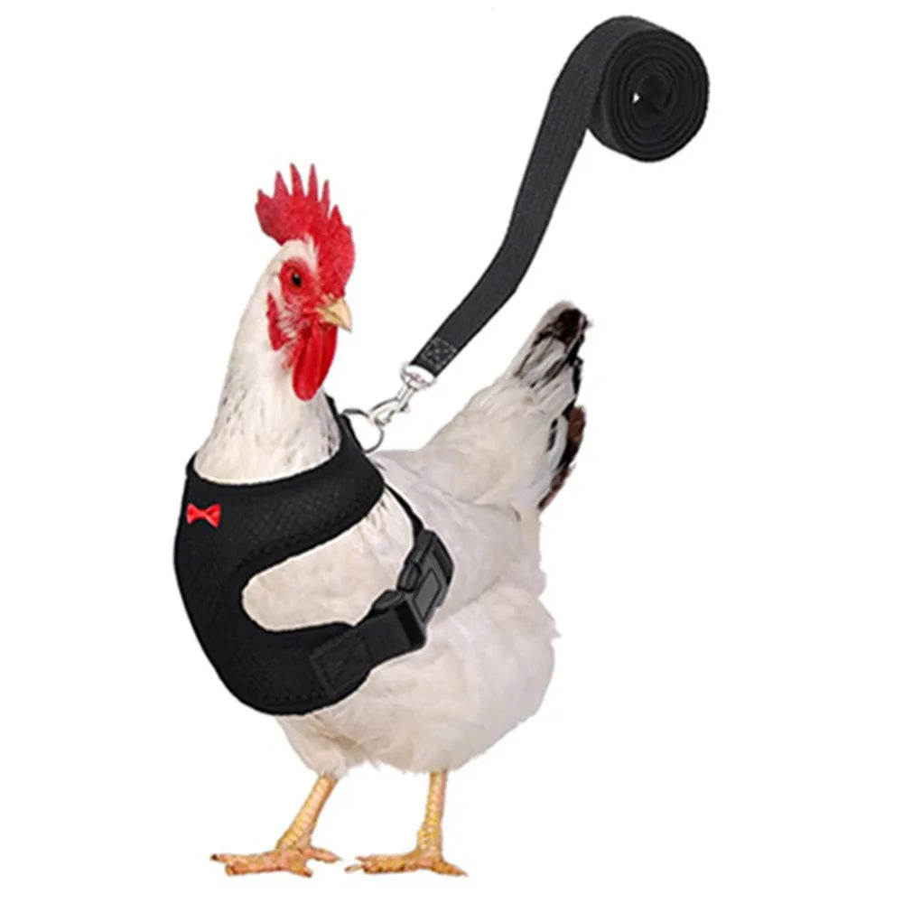Fashion Chicken Vest /Belt Pet Harness