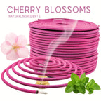 40/60Pcs Coil Incense, Aromatherapy Extract