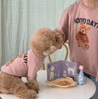 Pet Teddy Clothing