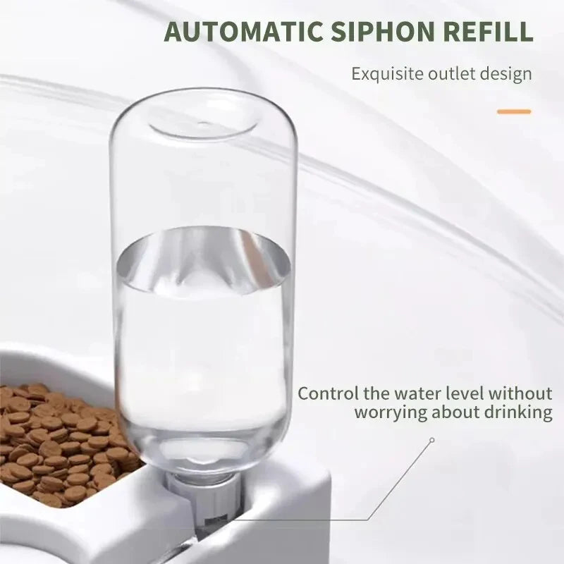 Automatic Drinking & Eating Pet Bowl