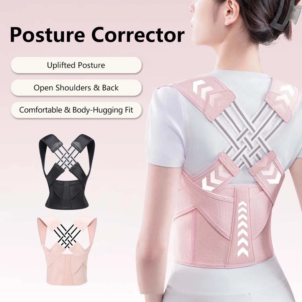 Back Support Belt