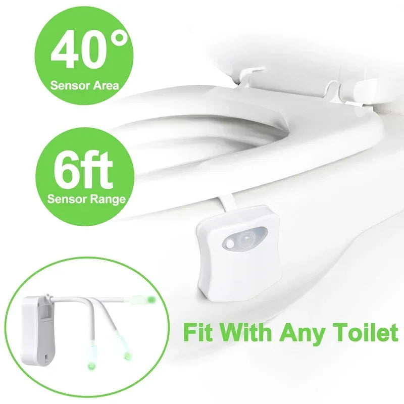 Motion Sensor Toilet Night Light