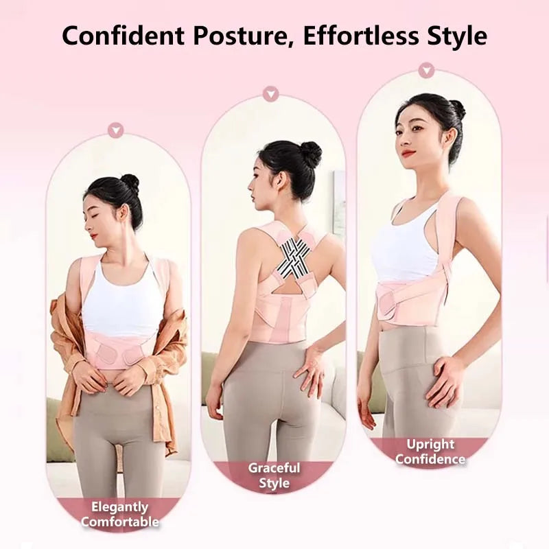 Back Support Belt