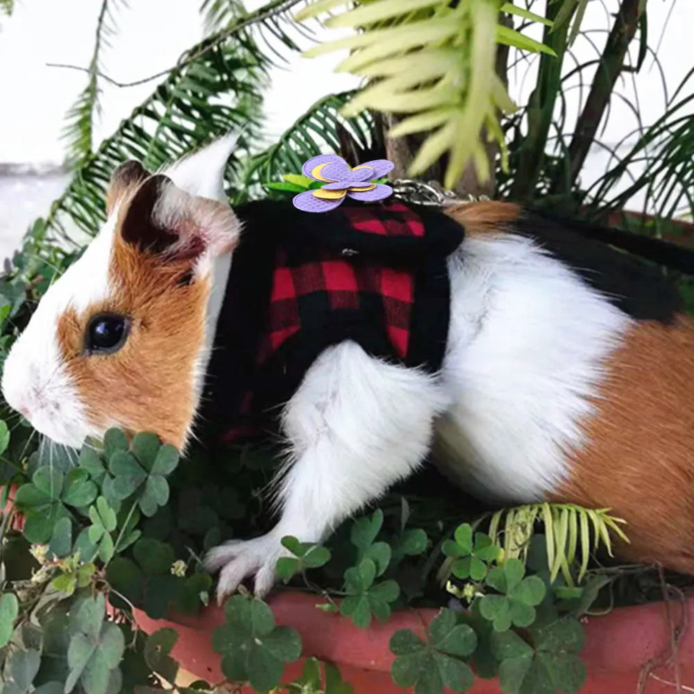 Small Pet Chest Strap Traction Leash