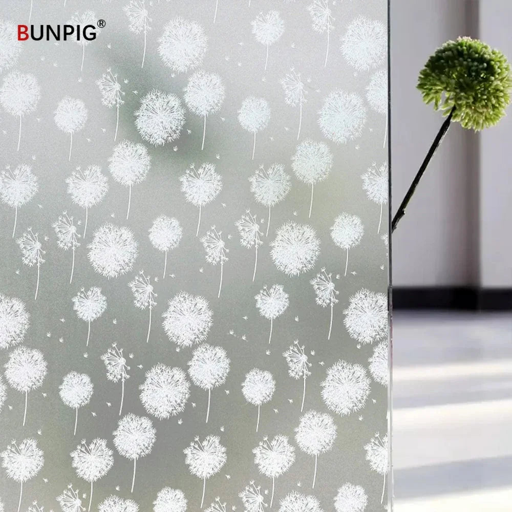 Privacy Window Film