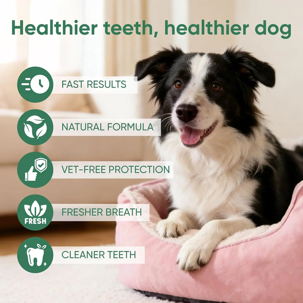 100ml Dental Spray with Probiotics