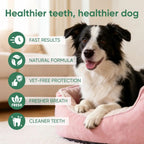 100ml Dental Spray with Probiotics