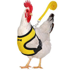 Fashion Chicken Vest /Belt Pet Harness
