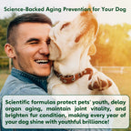 Senior Dog Vitamins Soft Chews