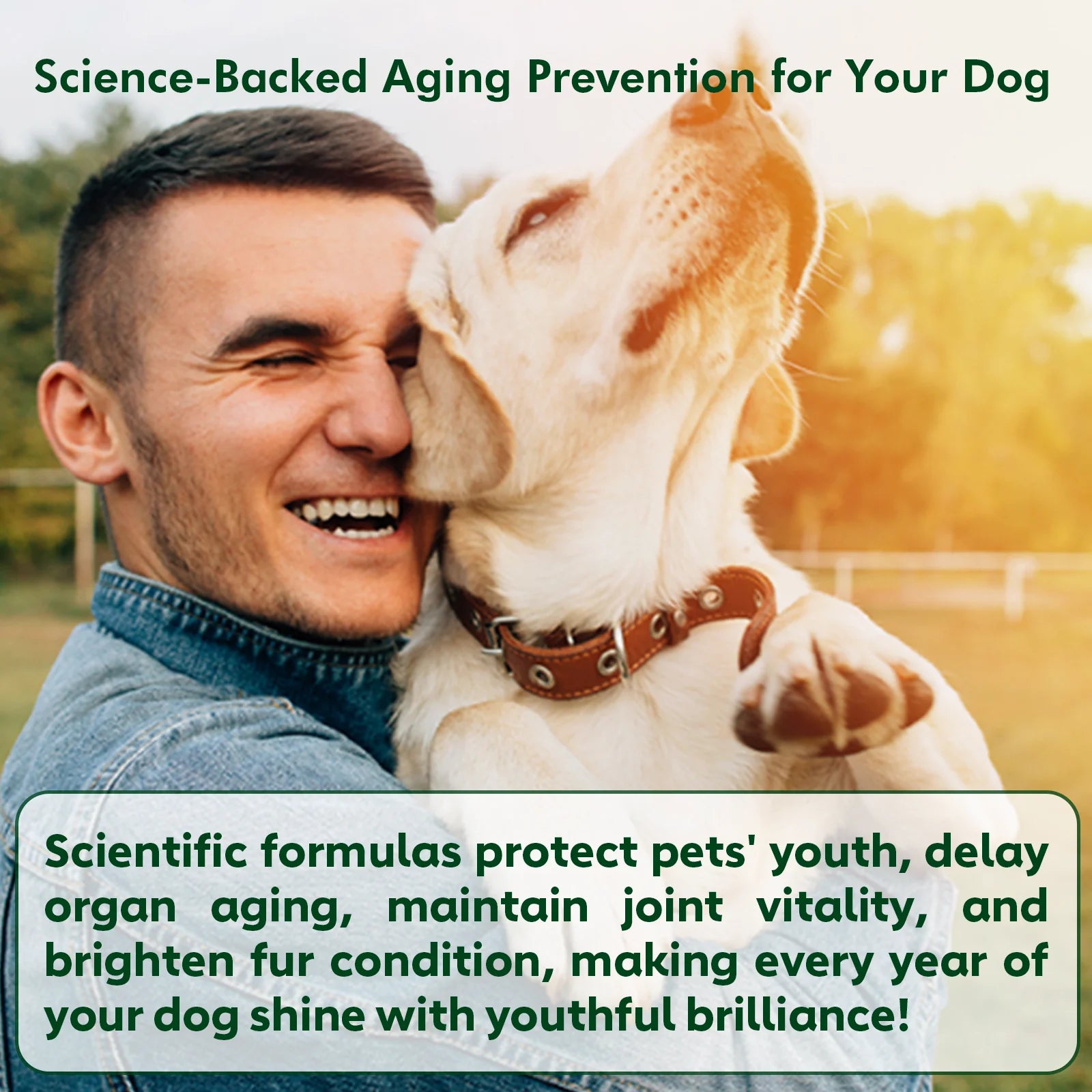 Senior Dog Vitamins Soft Chews