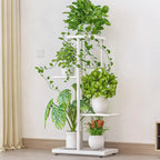 4 Tier Plant Stand Indoor