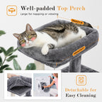 Tree Multi-level Cat Tower