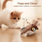 Cat Toy/ Interactive