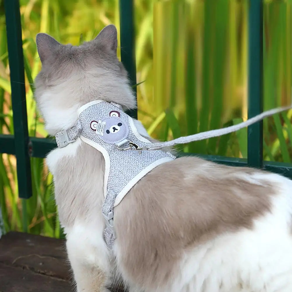 Small Pet Vest , Leash