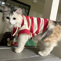 Striped Polo Pet Clothes