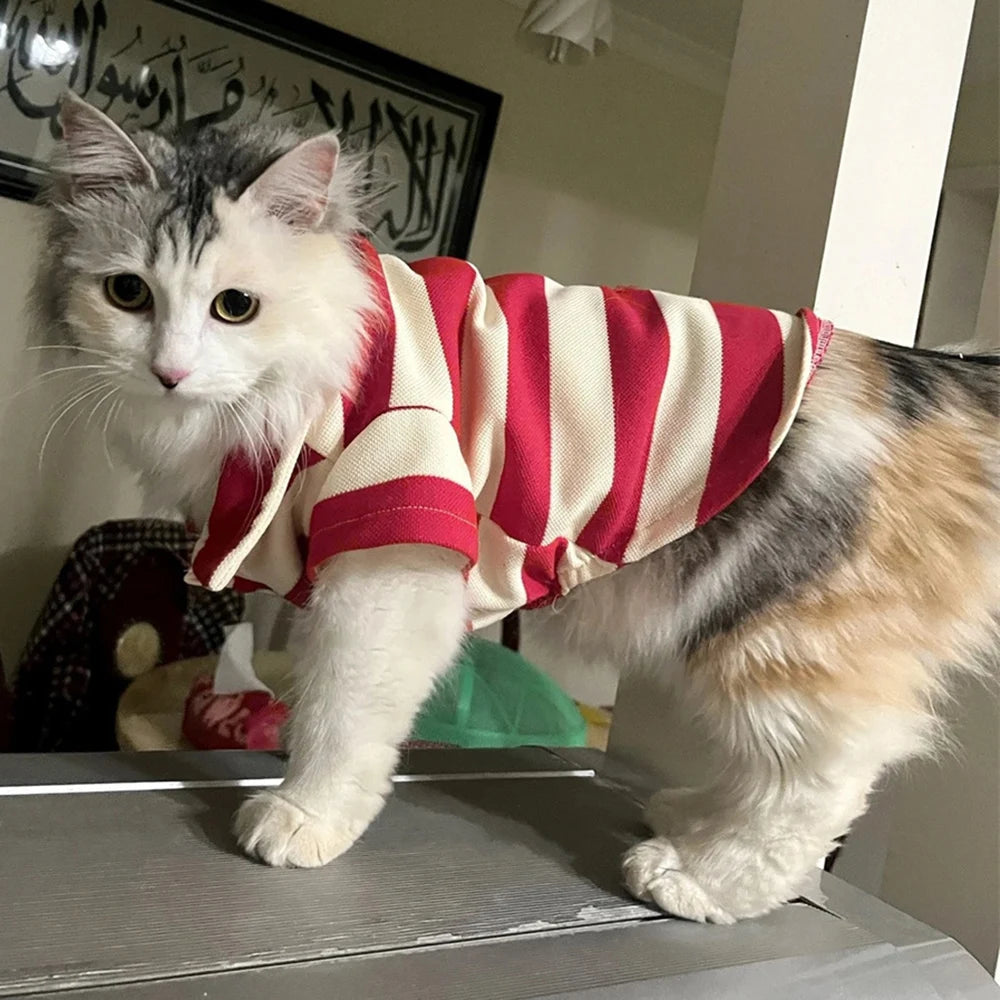 Striped Polo Pet Clothes