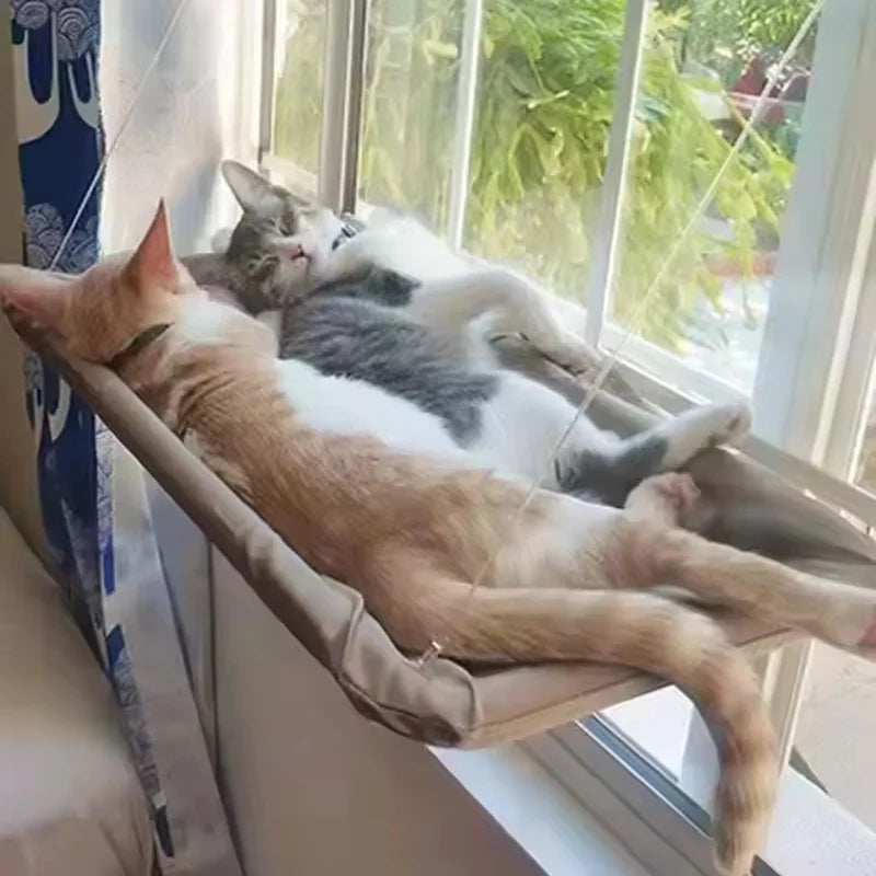 Window Hammock Mounted Securely