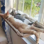 Window Hammock Mounted Securely