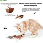 Cat Toy/ Interactive