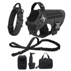 Pet Harness, Leash, Collar Set