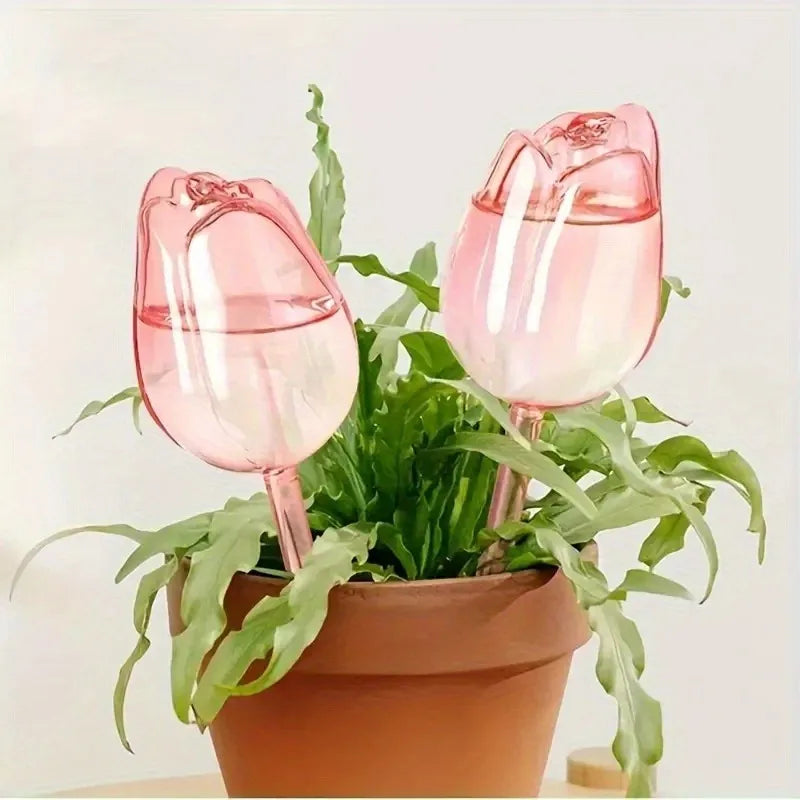 Pink tulip plant watering balls