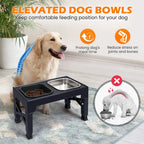 2-in-1 Elevated Slow Feeder Pet Bowls