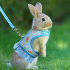 Rabbit Harness with Leash