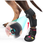 Drop Foot Brace /  Corrective Dog Shoe