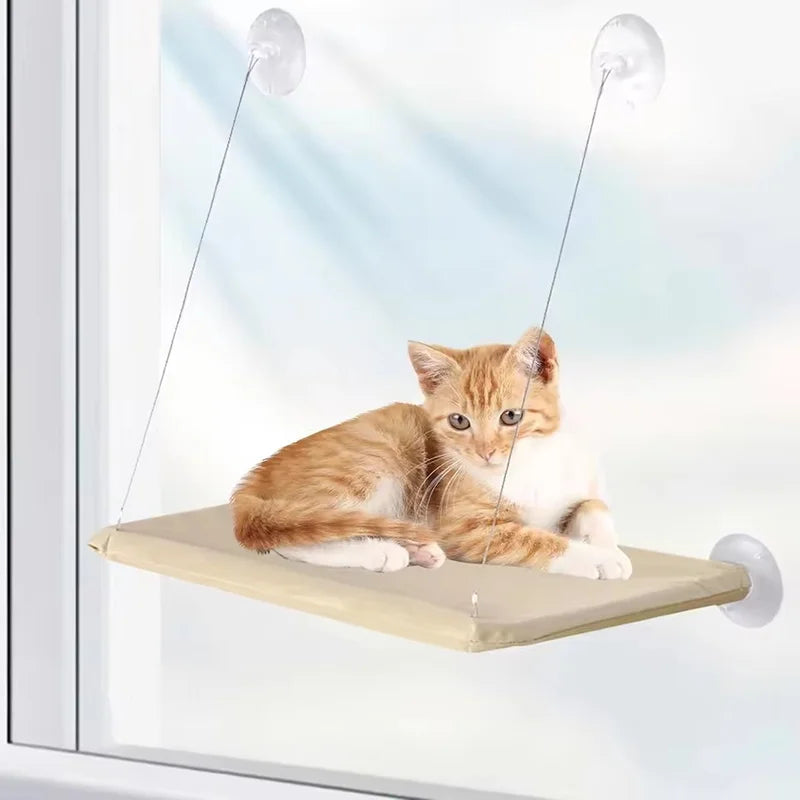 Window Hammock Mounted Securely