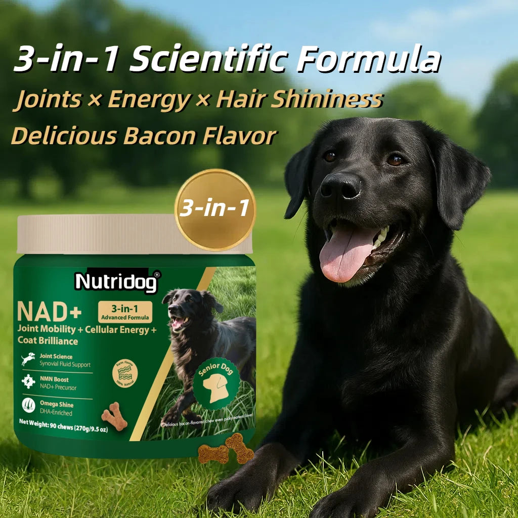 Senior Dog Vitamins Soft Chews