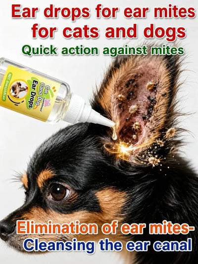 Ear Mite Treatment