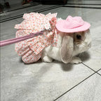 Rabbit Harness Dress/ Leash Set