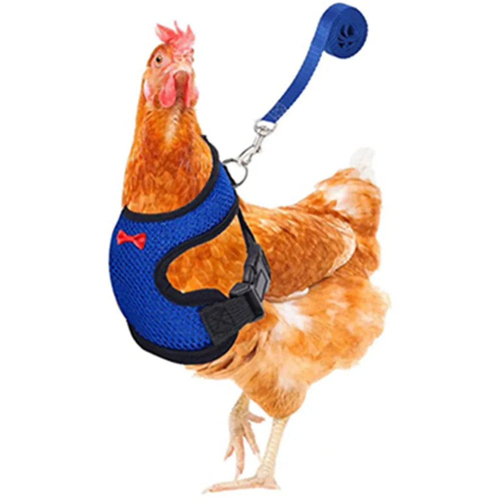 Fashion Chicken Vest /Belt Pet Harness
