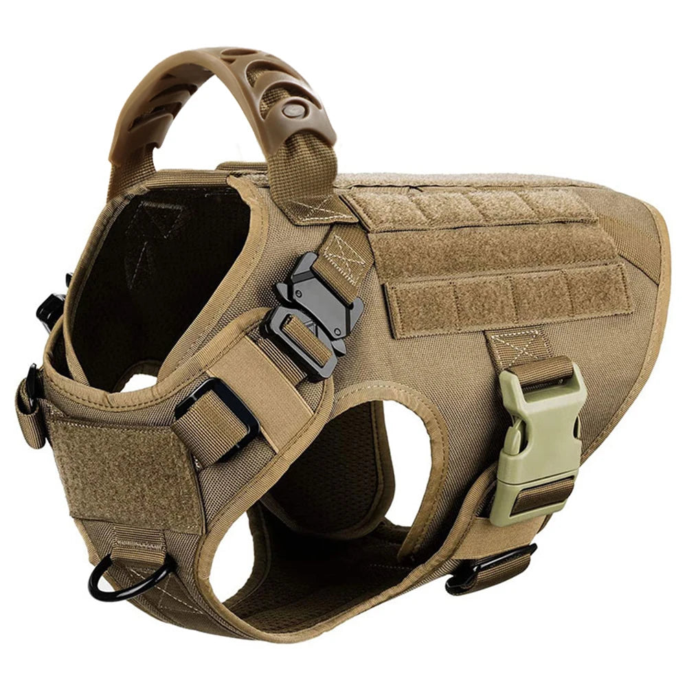 Pet Harness, Leash, Collar Set